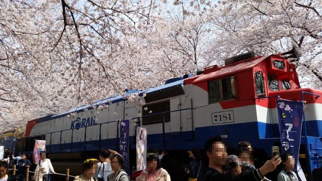 横から撮影したKORAILの車両